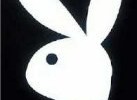 1238_playboy