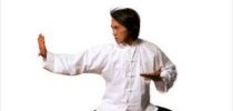1241_kungfuhustle