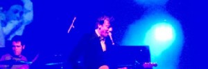 1242_grahamcoxon 1242_grahamcoxon