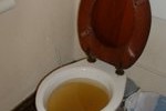 1261_toil 1261_toil