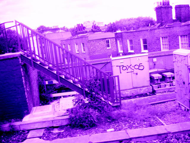 Tox05.jpg