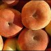 1429_Doughnutpeaches 1429_Doughnutpeaches