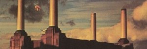 1435_animals_banner