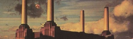 animals_banner.jpg