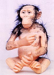 humanzoo.jpg