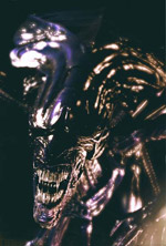 queen1.jpg