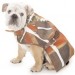 1641_trulybritish_dog 1641_trulybritish_dog