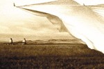 1766_neilyoungprairie 1766_neilyoungprairie