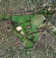 ClaphamCommon2.jpg