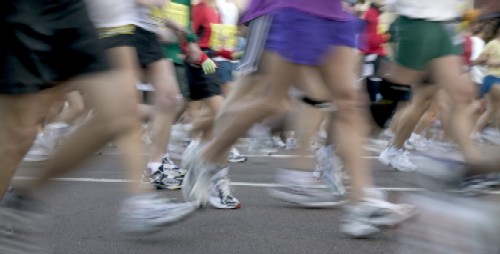 iStock_000000395787Small.jpg