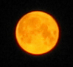 moon-view.jpg