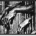 2038_hands_bars