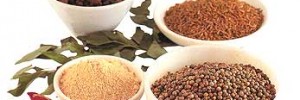 2065_spice 2065_spice