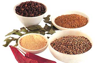 spice.jpg