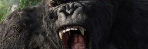 2383_kong1 2383_kong1
