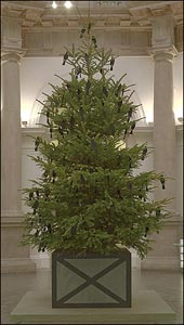 christmas tree.jpg