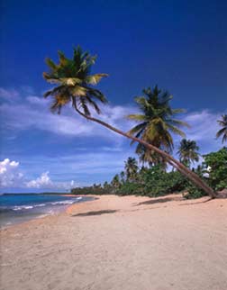 caribbean.jpg