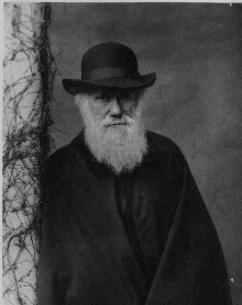 darwin1.jpg