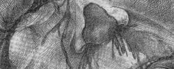 2662_cotton_candy_autopsy 2662_cotton_candy_autopsy