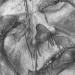 2662_cotton_candy_autopsy 2662_cotton_candy_autopsy