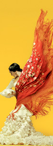 flamenco festival.jpg