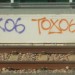 2918_tox06