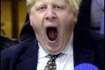 3043_boris