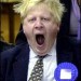 3043_boris