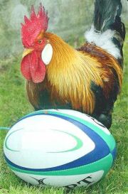 Even the French mascot managed to run circles around the flaky English defence...
