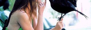 3190_birdflu 3190_birdflu