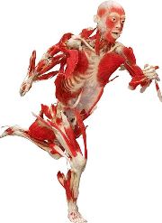 Running man.jpg