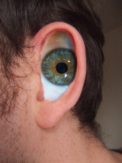 Look ear.jpg