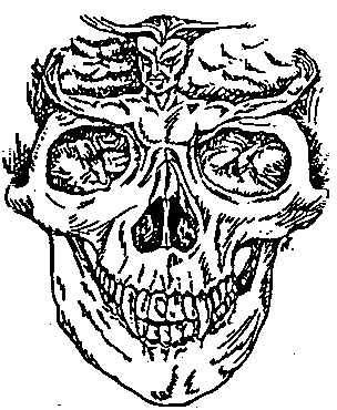 magic2.gif