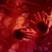 3588_fuerzabruta