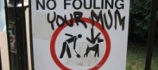 3790_foul_language 3790_foul_language