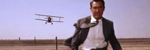 3838_NNWplane 3838_NNWplane