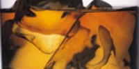 3891_whisky_glass