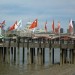 3903_TurkishFlags
