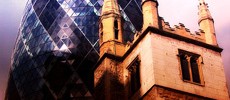 3945_lurkin_gherkin 3945_lurkin_gherkin