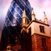 3945_lurkin_gherkin 3945_lurkin_gherkin