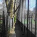 3971_Coram_walk 3971_Coram_walk