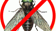 4041_070806_nofly