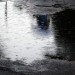 4103_puddle 4103_puddle