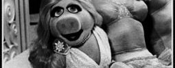 4140_220806_miss_piggy 4140_220806_miss_piggy