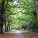 4152_holland_park_wooded 4152_holland_park_wooded