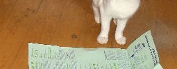 4376_everyonesacritic 4376_everyonesacritic