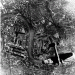 4498_blitz.5