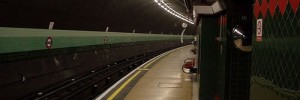 4821_ShepBush2