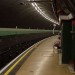 4821_ShepBush2 4821_ShepBush2