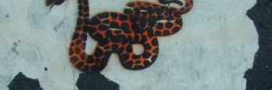 4858_snakegiraffe 4858_snakegiraffe